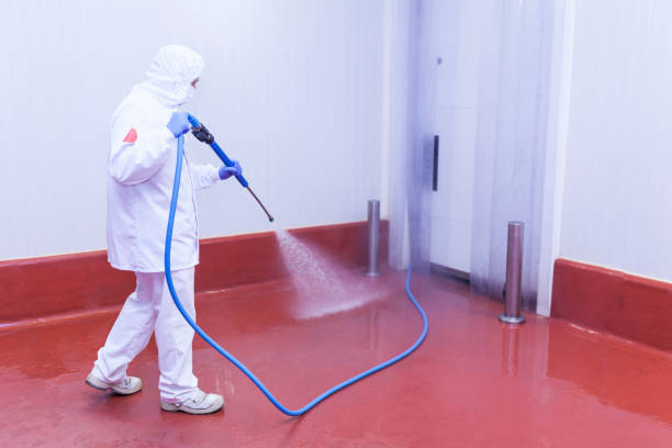 Best Building Exterior Washing  in Paramount, CA